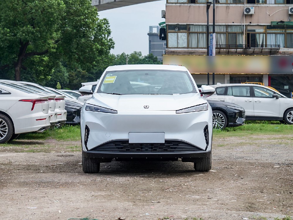 东风SKY EV01